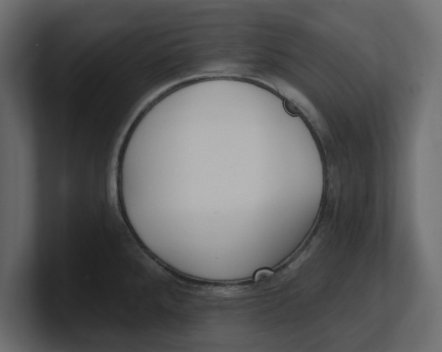 X0000100361288200806271416