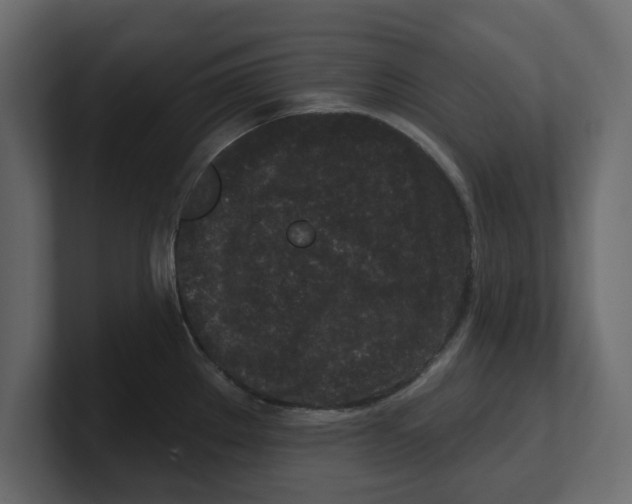 X0000100361289200806271416