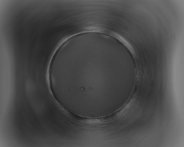 X0000100361291200806271415