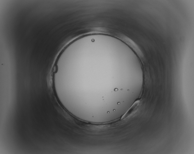 X0000100361292200806271415