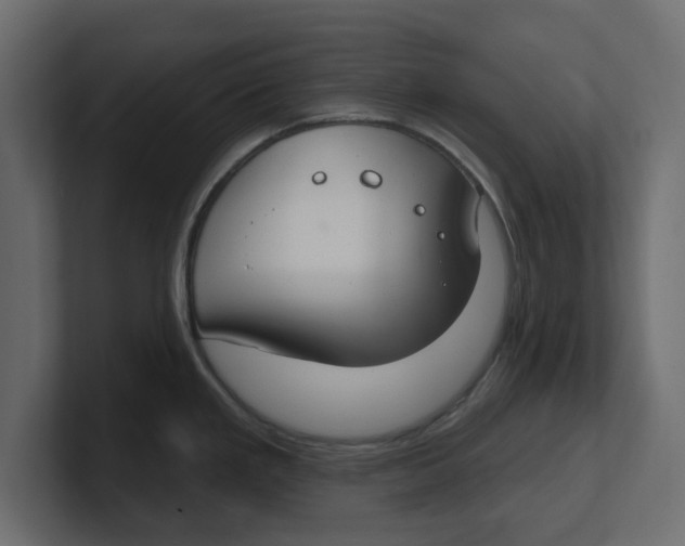 X0000100361293200806271415