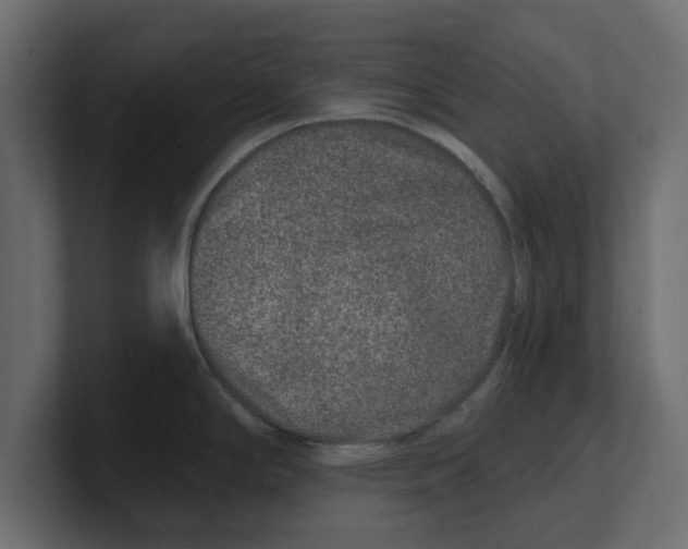 X0000100361294200806271415