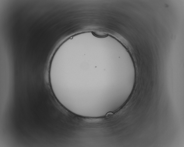 X0000100361296200806271415