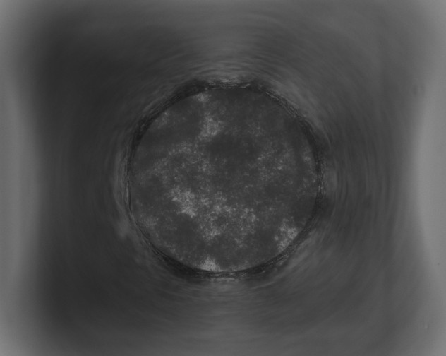 X0000100361297200806271415