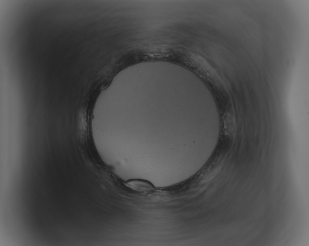 X0000100361298200806271415