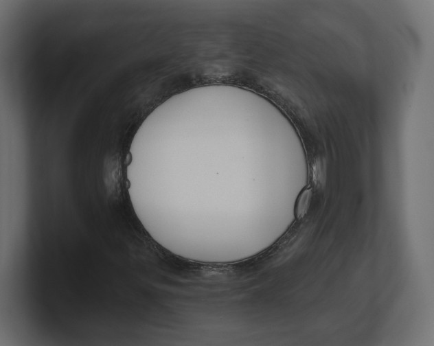 X0000100361299200806271415