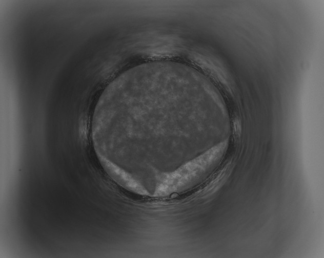 X0000100361300200806271415