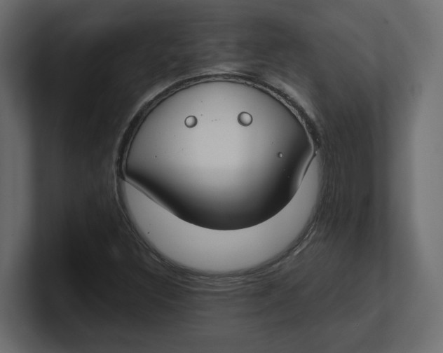 X0000100361308200806271415