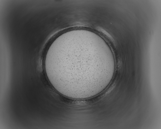 X0000100361310200806271415