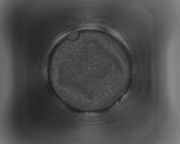 X0000100361312200806271415