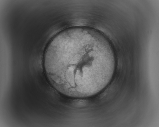 X0000100361314200806271415