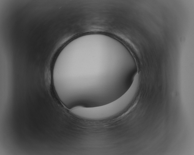 X0000100361317200806271415