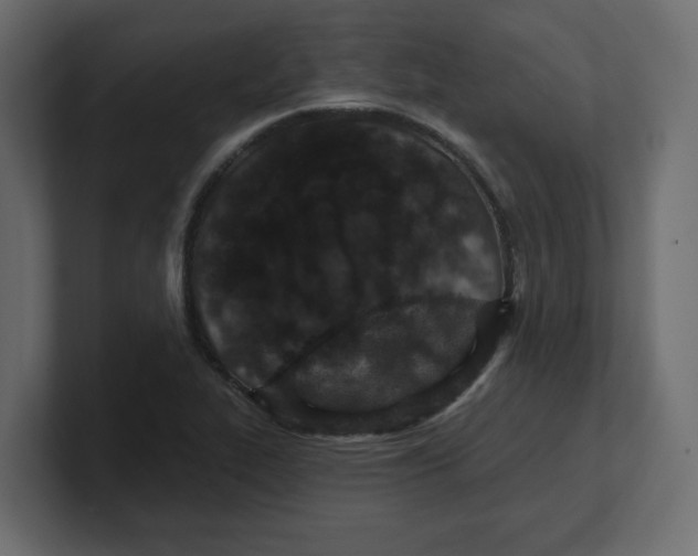 X0000100361319200806271415