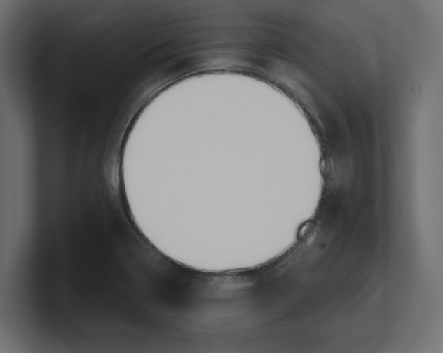 X0000100361322200806271415