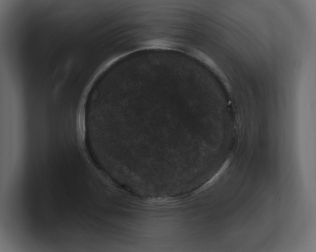 X0000100361323200806271415