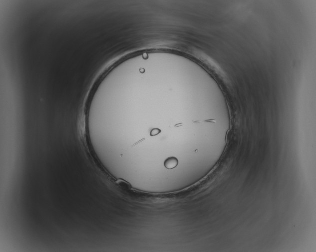 X0000100361324200806271415