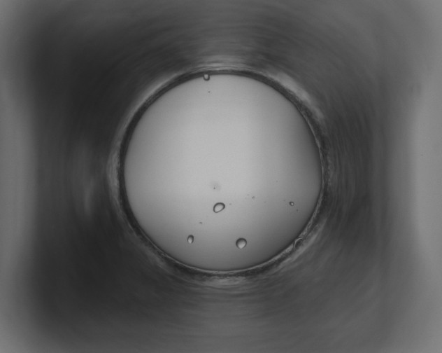 X0000100361325200806271415