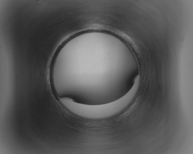 X0000100361326200806271415