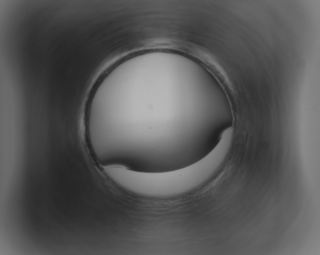 X0000100361328200806271415