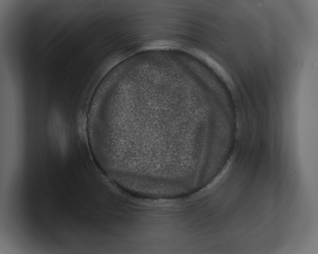 X0000100361329200806271415