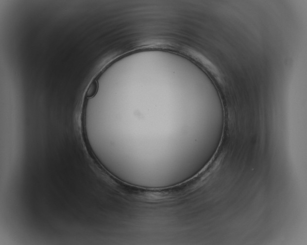 X0000100361330200806271415