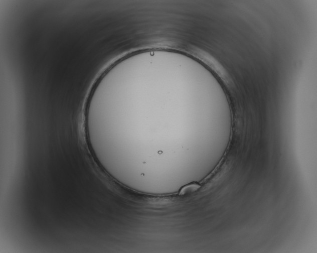 X0000100361332200806271415