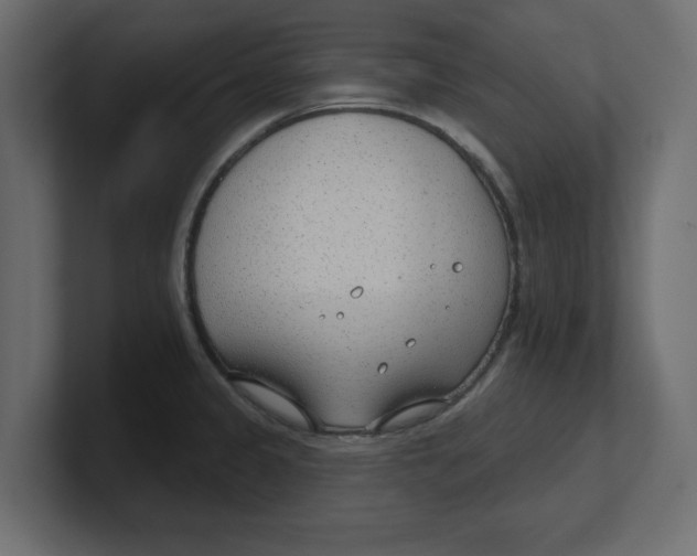 X0000100361333200806271415