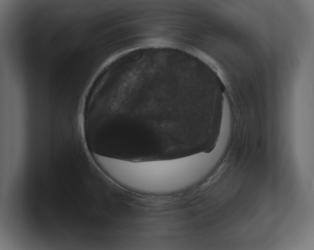 X0000100361334200806271415