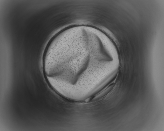 X0000100361335200806271415