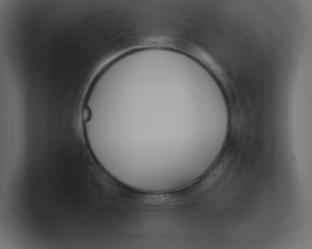 X0000100361336200806271415