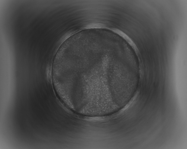 X0000100361337200806271415