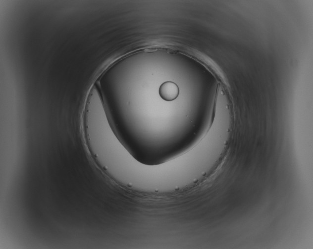 X0000100361338200806271415