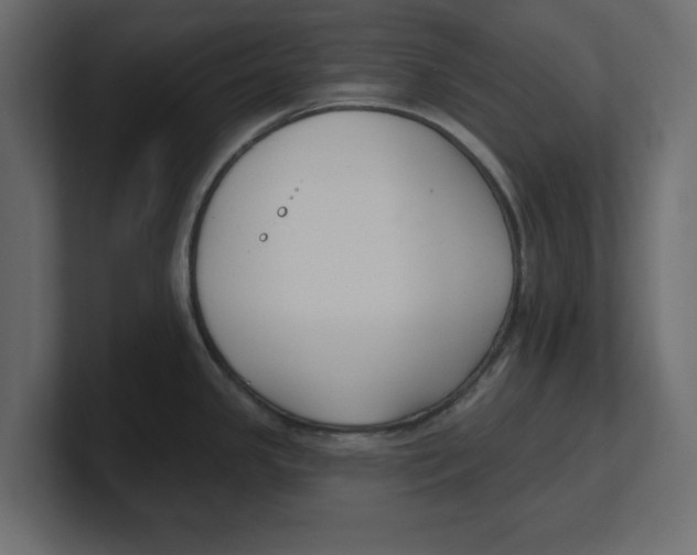 X0000100361341200806271415