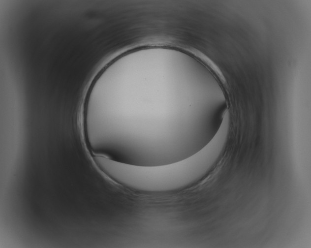 X0000100361343200806271415