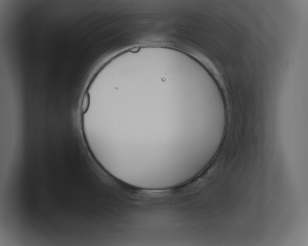 X0000100361344200806271415