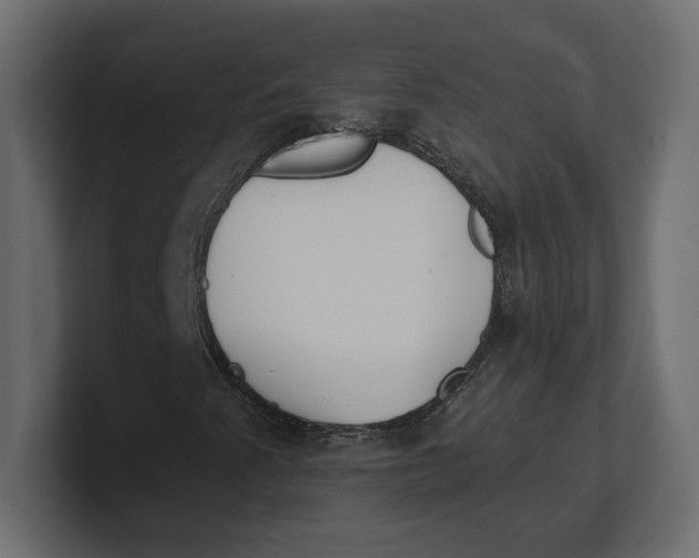 X0000100361345200806271415