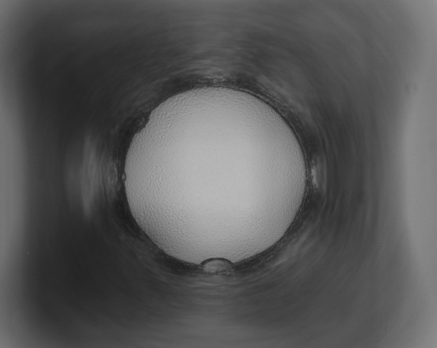 X0000100361347200806271415