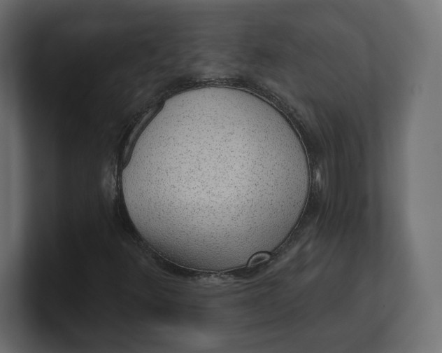 X0000100361348200806271415