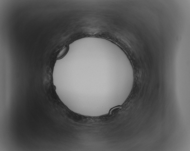 X0000100361349200806271415