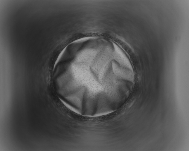 X0000100361350200806271415