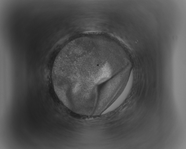 X0000100361351200806271415