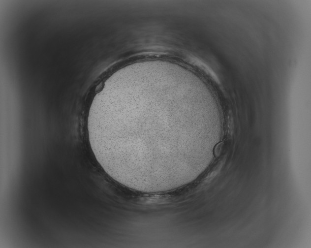 X0000100361352200806271415