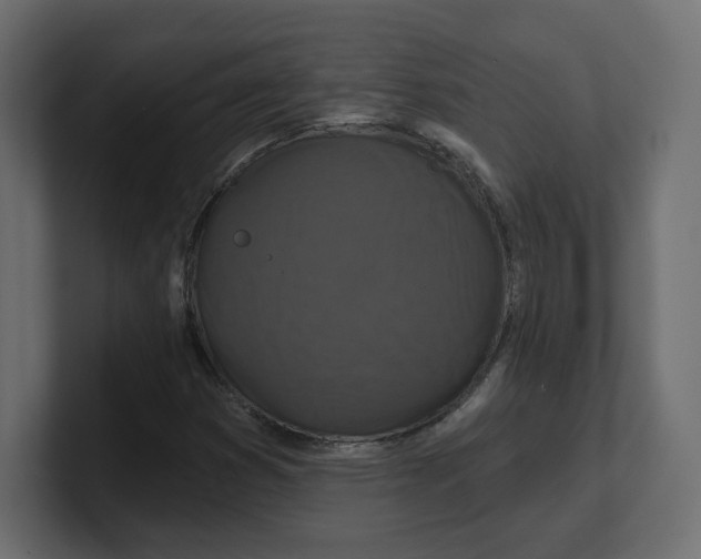 X0000100361353200806271415