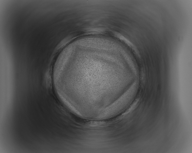 X0000100361354200806271415