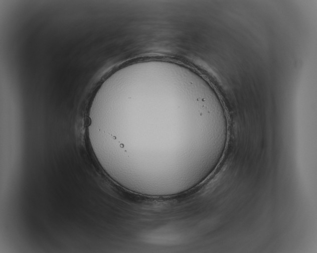 X0000100361355200806271415