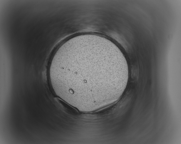 X0000100361356200806271415