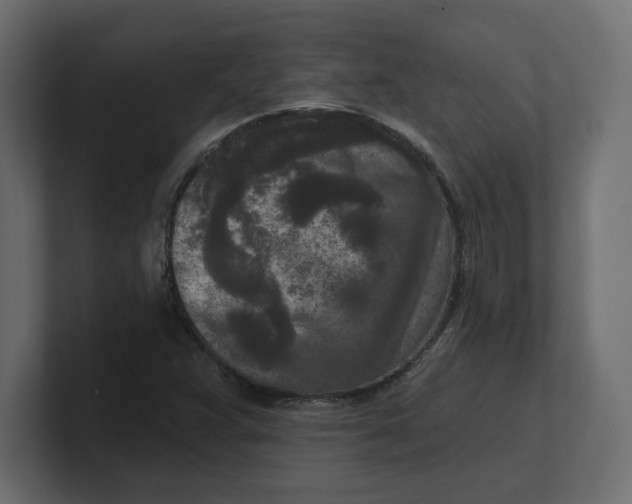 X0000100361359200806271414