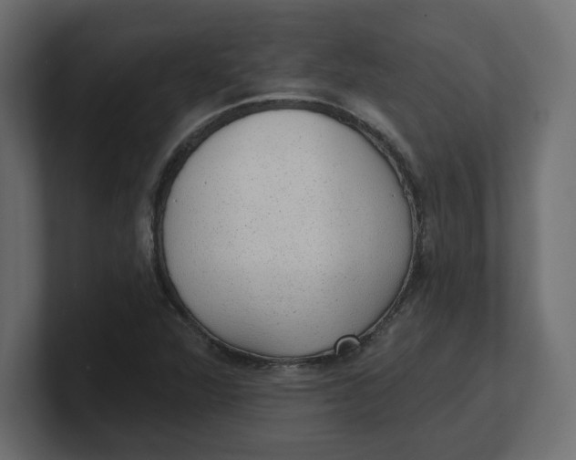 X0000100361360200806271414