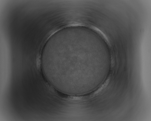 X0000100361361200806271414