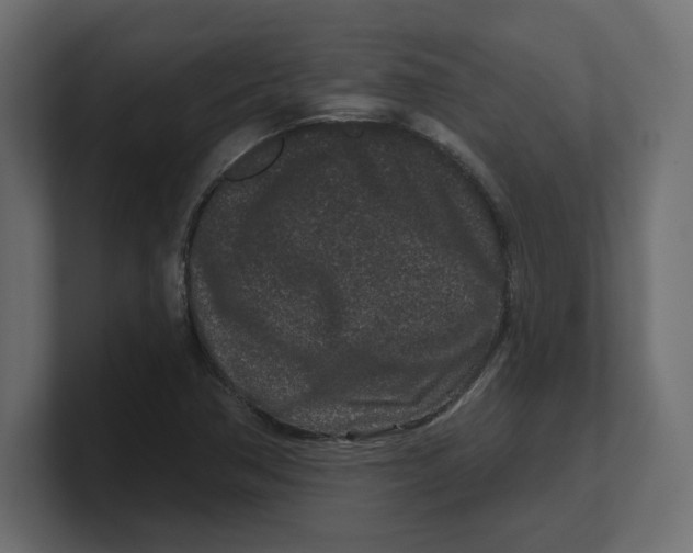 X0000100361362200806271414